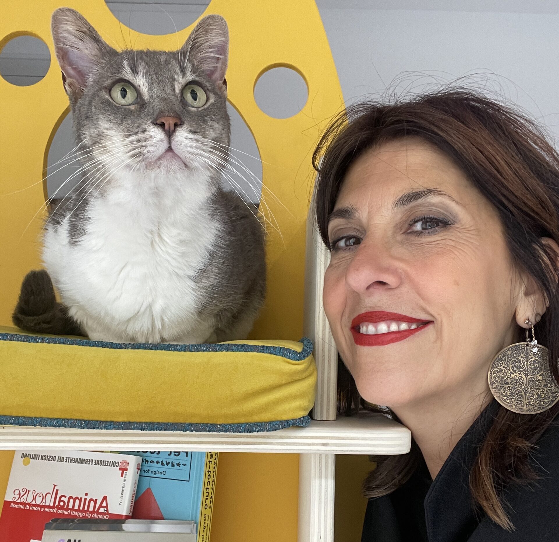 Pet designer: progettazione di ambienti a misura di pet Pet designer: progettazione di ambienti a misura di pet